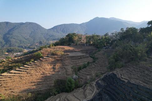 Verses of the Earth 1