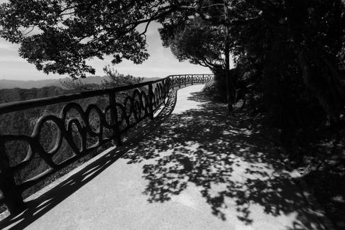 The Path of Light Gap 4