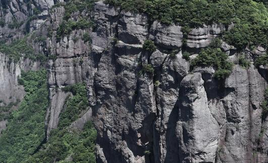 Green environment 20