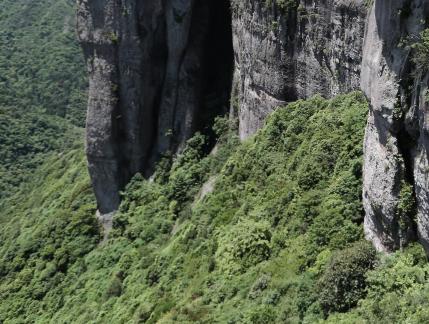 Green between cliffs 24