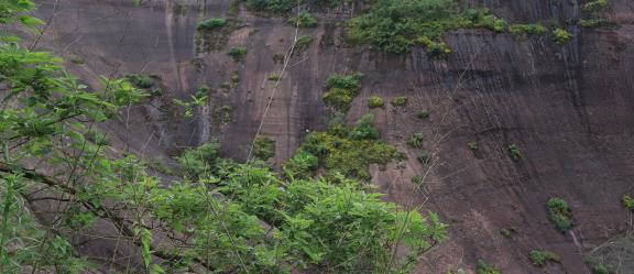 Cuiran Mountain Range 34