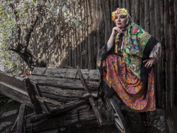 The cherry blossomed-2