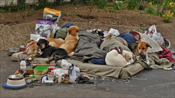 Twenty-first century