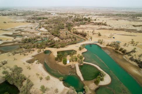 Remote viewing of oasis 9