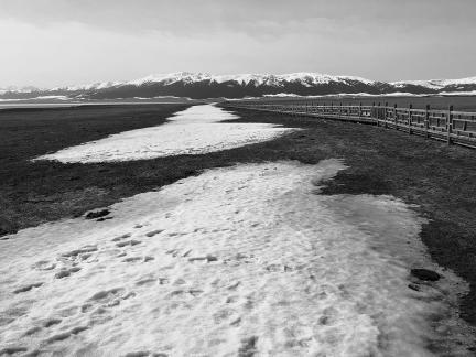 The snowfield remains white 1