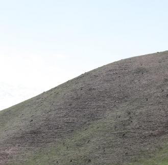 Green grass on the hillside 4