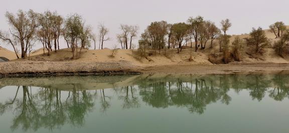 Shallow pond reflecting autumn 9