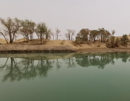 Shallow pond reflecting autumn 10