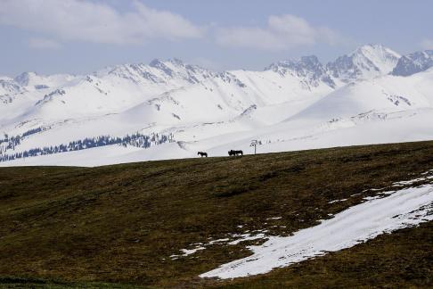 Mountain Trail Watching Snow 12