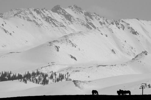 Mountain Trail Watching Snow 13