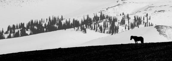 Mountain Trail Watching Snow 14