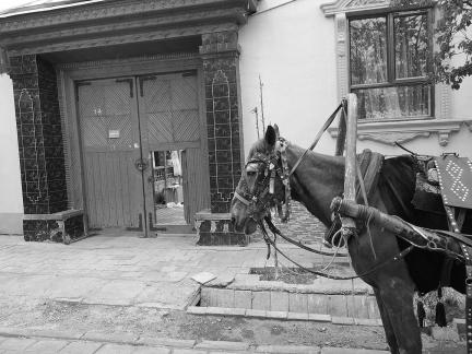 Yili Old Town Landscape 15