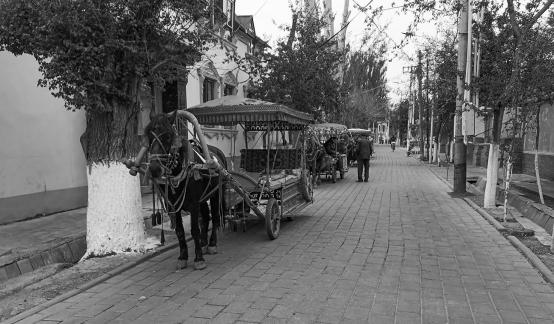 Yili Old Town Landscape 16