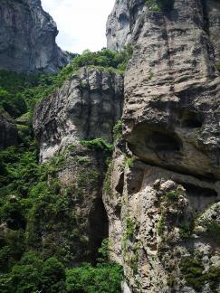 Green Wilderness and Tranquility 25