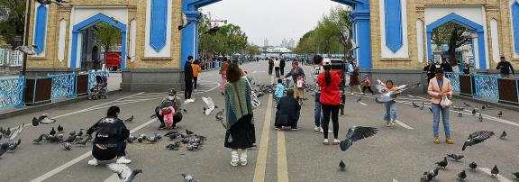 Yili Old Town Landscape 5