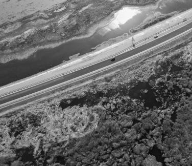 Ice Lake Reed Path Book 8