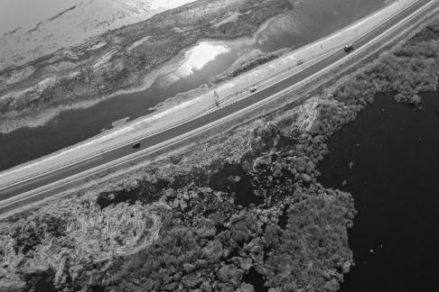 Ice Lake Reed Path Book 9