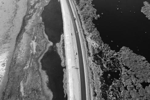 Ice Lake Reed Path Book 11