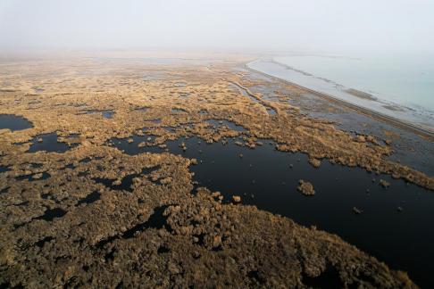 Ice Lake Reed Path Book 21