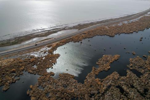 Ice Lake Reed Path Book 16