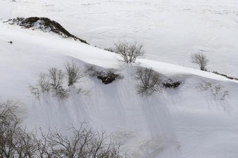 Empty field white painting 1