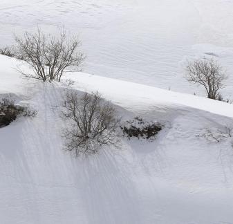Empty field white painting 3