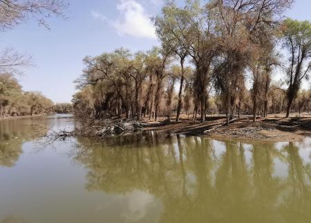 Between the woods and the sky 3