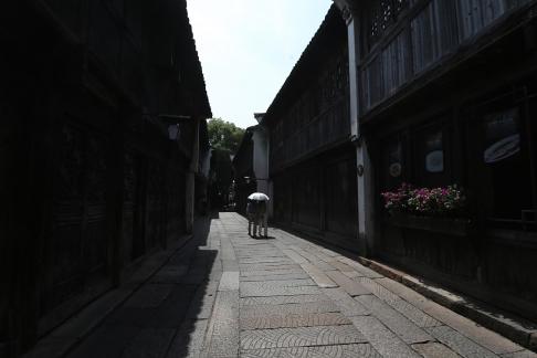 Jiangnan Rain Lane 1