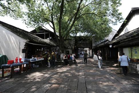 Jiangnan Rain Lane 6