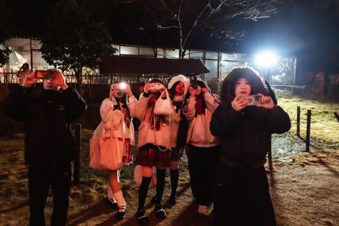 Fireworks for New Year Day 11