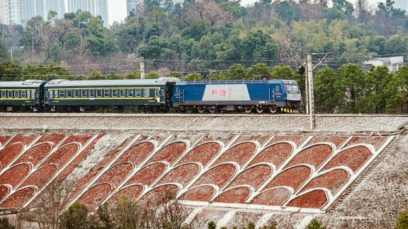 green skinned train 8