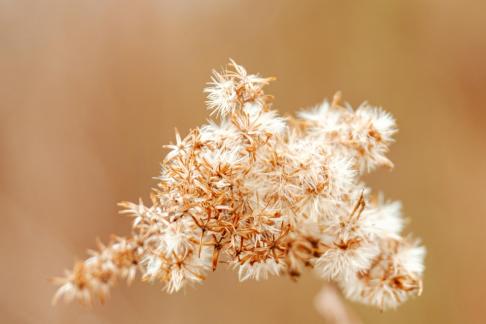 Drying up in winter 2