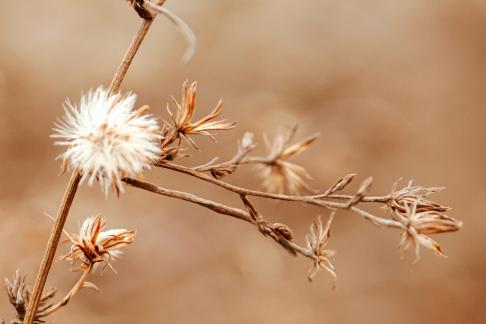 Drying up in winter 21