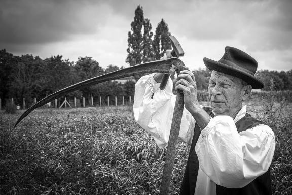 Forge hair for mowing
