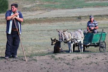 Village life-2