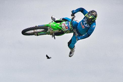 Fly