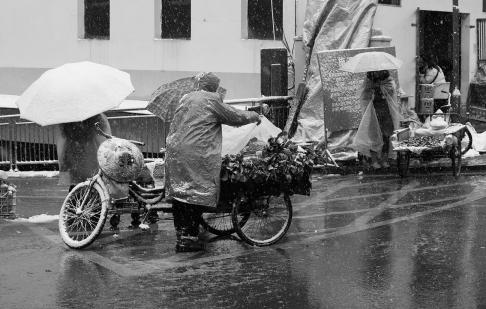 Snowflakes Dancing in the World 80
