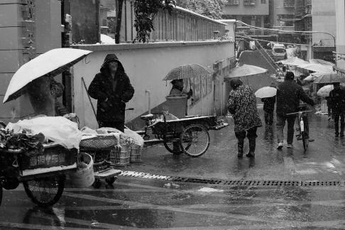 Snowflakes Dancing in the World 81