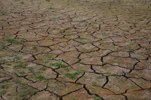Cracked Earth 9
