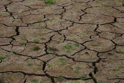 Cracked Earth 11