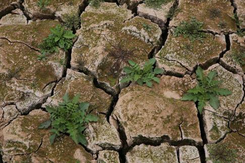 Cracked Earth 12