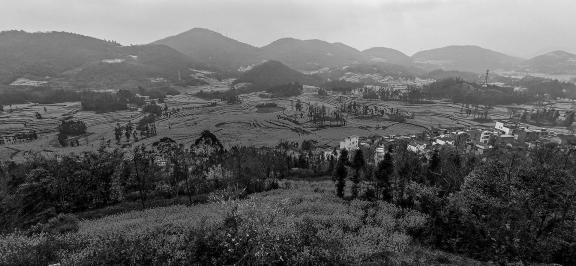 Spring scenery 18