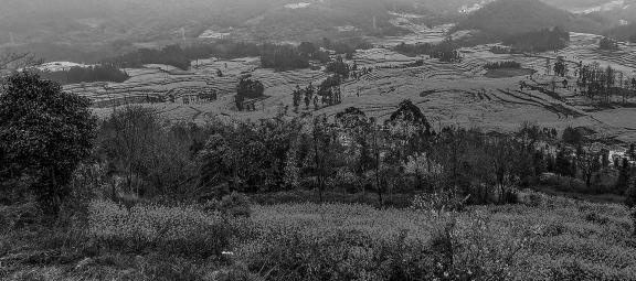 Spring scenery 19