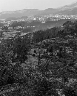 Spring scenery 20
