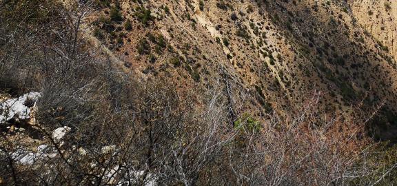 Mountainous wild slopes 1