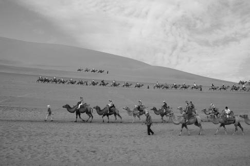 Desert Journey 73