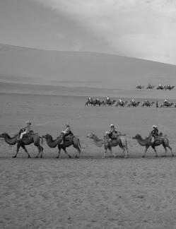 Desert Journey 74