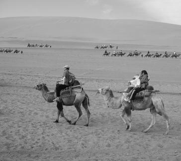 Desert Journey 76