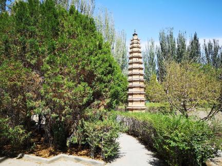 Western Xia Buddhist Kingdom 16