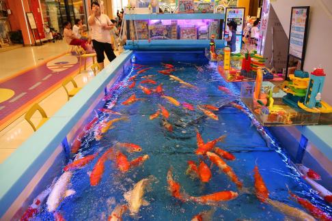 Strolling around the mall 61